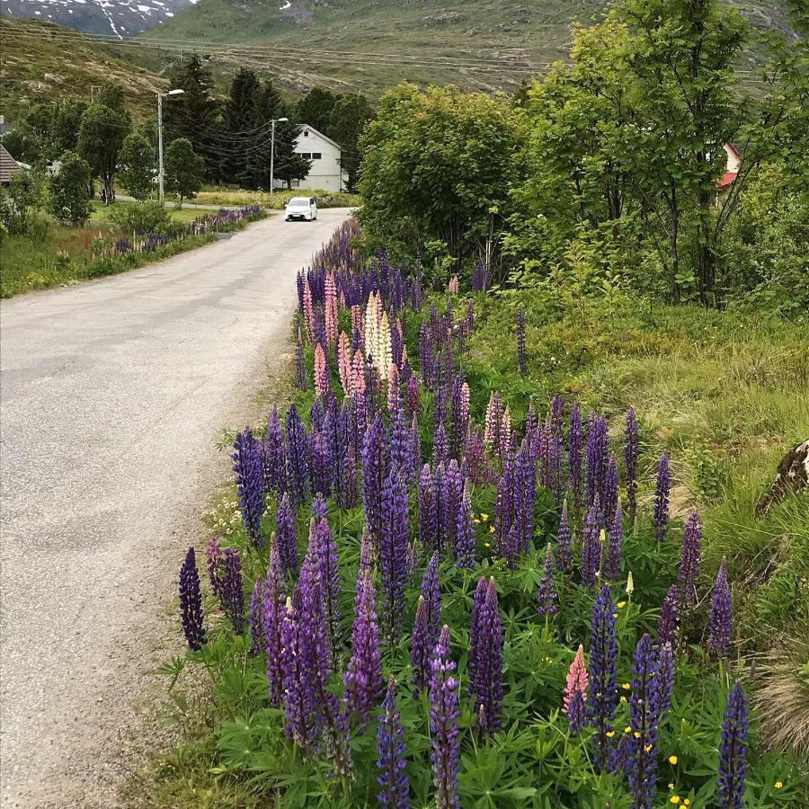 The Crush Hotel Ersfjordbotn ภายนอก รูปภาพ